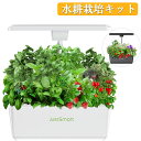 全品ポイント5倍 水耕栽培 キット LED 野菜栽培キット 室内 静か 家庭菜園 植木鉢 プランター おしゃれ LEDライト付 観葉植物 スポンジ タイマー機能付 循環式ポンプ ガーデニング 植物育成 育苗キット JustSmart