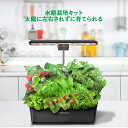 限定クーポン 水耕栽培 キット LED 野菜栽培キット 室内 静か 家庭菜園 植木鉢 プランター おしゃれ LEDライト付 観葉植物 スポンジ タイマー機能付 ...