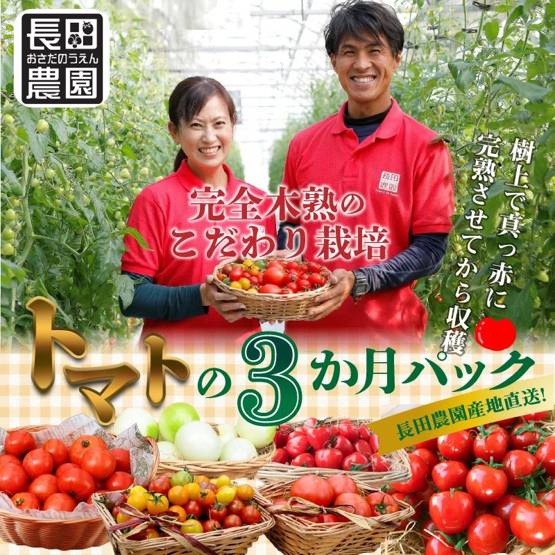 令和7年 4月～6月毎月発送！トマト 定期便 3回 トマト好き 全員集合 長田農園 愛知県産 産地直送 甘い フルーツトマト ミニトマト 新たまねぎ セット 人気のサムネイル