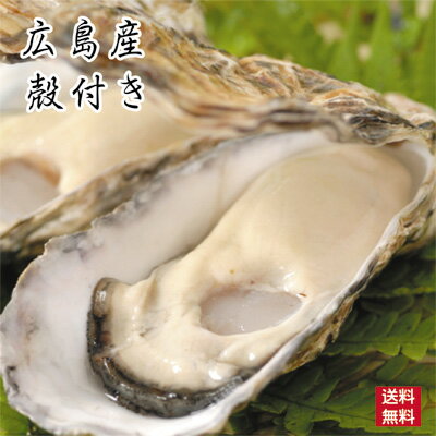 牡蠣 広島産 生牡蠣(かき） 殻付き お徳用 （35個入）【送料無料】S-M わけあり 自宅用 贈答用 カンカン焼き用可