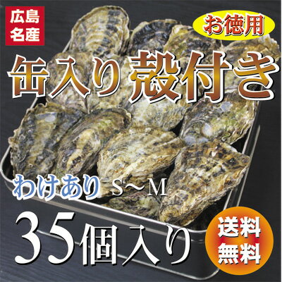 広島県産牡蠣　殻付きお徳用35個入　訳あり殻付き牡蠣（かき）（S〜Mサイズ）【送料無料】加熱用