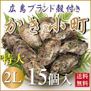 特大サイズ!【2L】【数量限定】広島ブランド殻付き「かき小町」15個 230g以上)【送料無料】