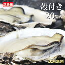 【広島産 殻付き 牡蠣（かき）20個