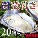 【送料無料】広島産 殻付き牡蠣(かき)【20個入り】【smtb-kd】【楽ギフ_のし】 - かきアイランド