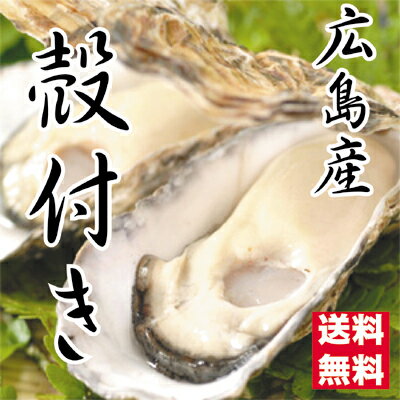 広島県産牡蠣　殻付きお徳用35個入　訳あり殻付き牡蠣（かき）（S〜Mサイズ）【送料無料】加熱用