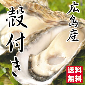 広島県産牡蠣　殻付きお徳用35個入　訳あり殻付き牡蠣（かき）（S〜Mサイズ）【送料無料】加熱用