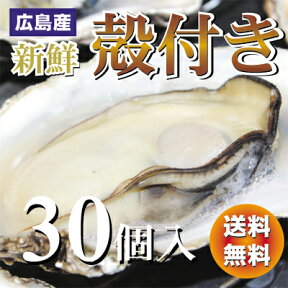広島産 殻付き 牡蠣 （かき) 30個入り【送料無料】