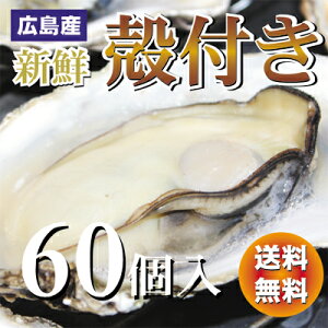 広島産 殻付き 牡蠣（かき） 60個入り 【送料無料】