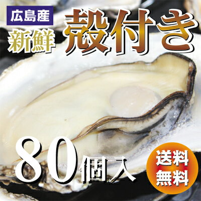 【送料無料】生産直送　広島産生かき 殻付き牡蠣（かき）80個入り】【smtb-kd】