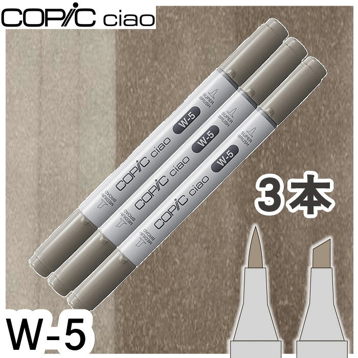 コピックチャオ3本セットW-5