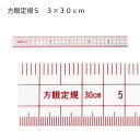 方眼定規エンビ製S 30×3cm 1cm方眼(パッチワーク 図案 等間隔 ぬいしろ 平行 30cm 50cm 幅広 方眼 方眼定規 安い 使いやすい メモリ 縫...