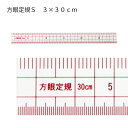 方眼定規エンビ製S 30×3cm 1cm方眼（パッチワーク 図案 等間隔 ぬいしろ 平行 30cm 50cm 幅広 方眼 方眼定規 安い 使いやすい メモリ 縫い代 見やすい）おさいほう屋