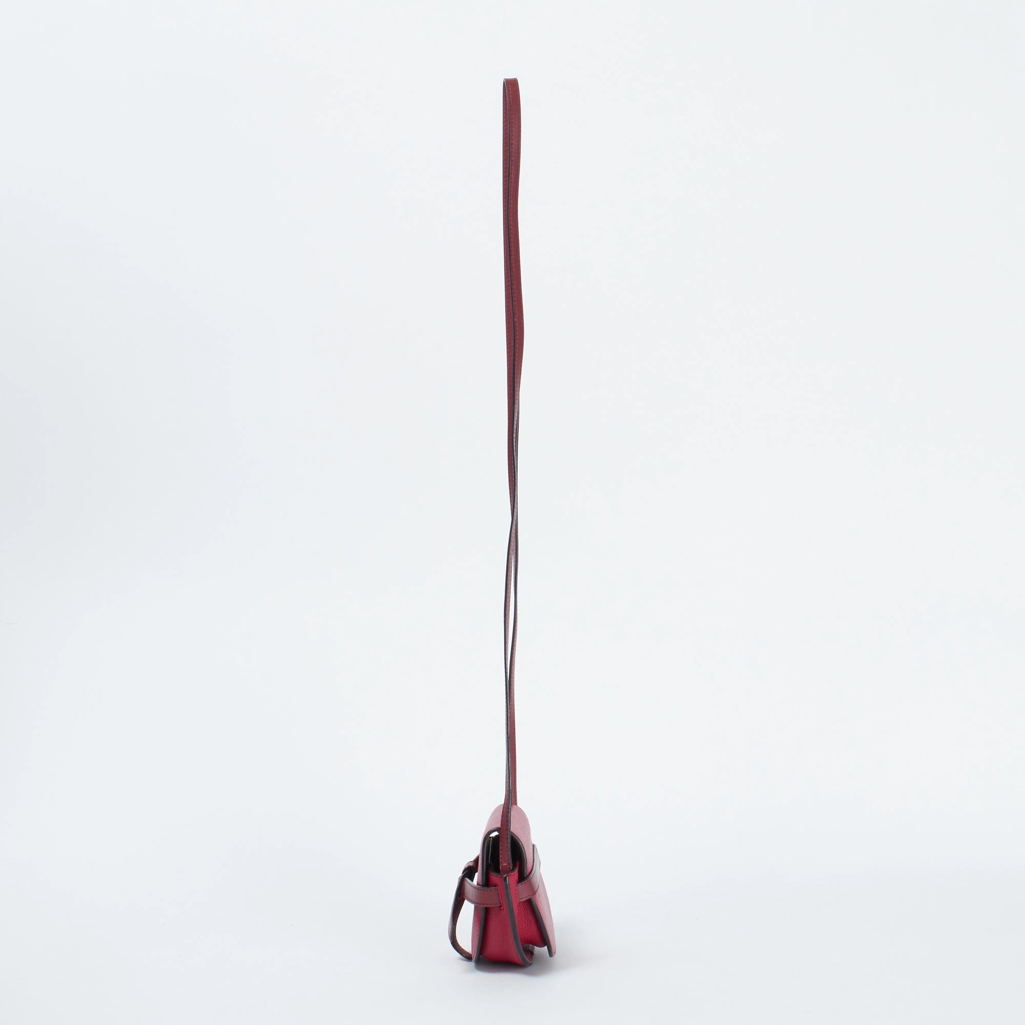 【LOEWE/ロエベ】ゲートミニ レザー ショルダーバッグ ピンク系 【安心保証】 【中古】 3