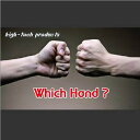 ウィッチハンド～Which Hand?～|イリュージョン,大阪マジック,マジック,手品,販売,ショップ,マジシャン,大阪,osaka,magic