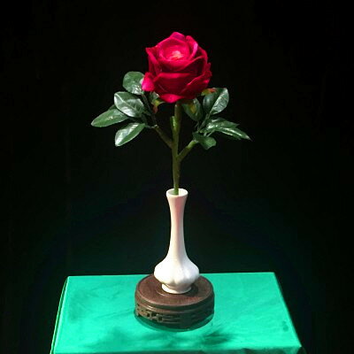 Withered Rose　〜ウィザードローズ〜 |イリュージョン,大阪マジック,マジック,手品,販売,ショップ,マジシャン,大阪,osaka,magic