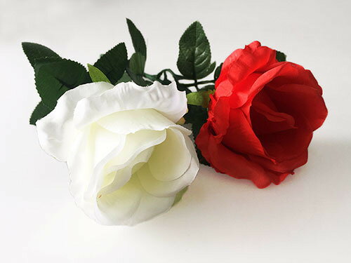 Super Light Rose スーパーライ...の紹介画像3