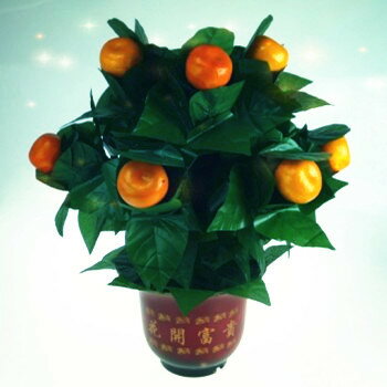 オレンジツリーイリュージョン～The Orange Tree Illusion (10 Oranges)～ イリュージョン,大阪マジック,マジック,手品,販売,ショップ,マジシャン,大阪,osaka,magic