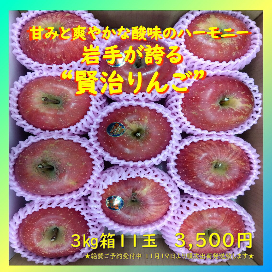 りんご サンふじ 賢治りんご 蜜入り 岩手産 JAいわて花巻 高評価 大阪市 中央卸売市場よりお届け ギフト ご褒美 お歳暮 プレゼント 父 母 おじいちゃん おばあちゃん 祖父 祖母 感謝 美味しい 疲労回復