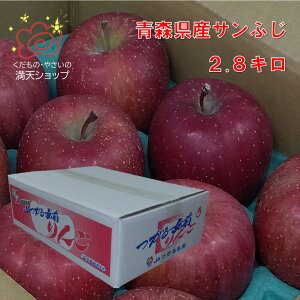 サンふじ りんご 青森県産 JAつがる弘前 2.8キロ 9玉から12玉入り 玉数おまかせ 大阪市 中央卸売市場からお届け