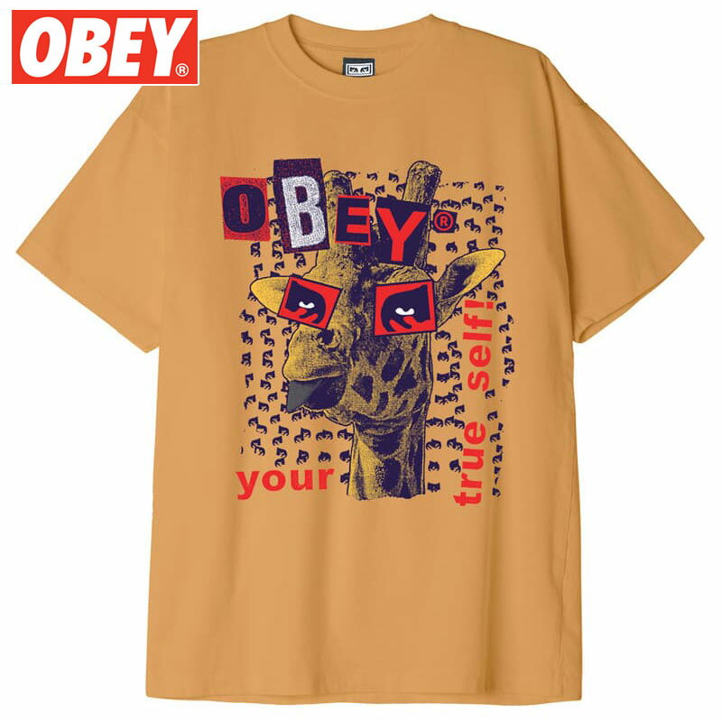 IxC OBEY OBEY YOUR TRUE SELF TEE(SUN DIAL)IxCTVc OBEYTVc IxCeB[Vc OBEYeB[Vc