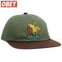 IxC OBEY CORRIDOR 6 PANEL SNAPBACK(O[  DARK CEDAR MULTI)IxCLbv OBEYLbv IxCXq OBEYXq IxCXibvobN OBEYXibvobN hJ