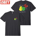 IxC OBEY OBEY PEACEFUL PROTEST TEE(ubN  VINTAGE BLACK)IxCTVc OBEYTVc IxC OBEY