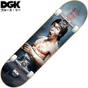 ディージーケー DGK STREET COMPLETE DECK(FOCUSED)ディージーケーコンプリートデッキ DGKコンプリートデッキ ディージーケースケートボード DGKスケートボード ディージーケースケボー DGKスケボー ブルースリーコラボ