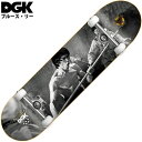 ディージーケー DGK STREET COMPLETE DECK(POWER)ディージーケーコンプリートデッキ DGKコンプリートデッキ ディージーケースケートボード DGKスケートボード ディージーケースケボー DGKスケボー ブルースリーコラボ