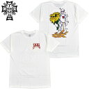 ドッグタウン DOGTOWN BRYCE KANIGHTS S/S TEE(ホワイト 白 WHITE)ドッグタウンTシャツ DOGTOWNTシャツ ドッグタウンティーシャツ DOGTOWNティーシャツ