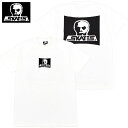 スカルスケーツ SKULL SKATES SURF LOGO SS 