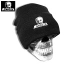 【予約受付】スカルスケーツ SKULL SK