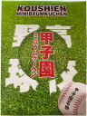 【20個入】 リニューアル 期間 限定 販売 大阪 お土産 甲子園ミニバウムクーヘン 20個入 個包装 甲子園 土産 お菓子 お取り寄せ スイーツ 東京 名古屋 出張 関西 ミニ バウムクーヘン 手土産 お取り寄せ 甲子園