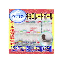 大阪京菓楽天市場店ZRおかし企画　OE石井　125グラム ウサギのチョコレートボール ×1袋