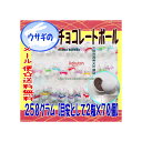 大阪京菓楽天市場店ZRおかし企画 OE石井 250グラム【目安として2粒×70個】 ウサギのチョコレートボール 【チョコ】×1袋【ma】【メール便送料無料】
