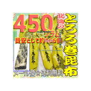大阪京菓楽天市場店ZRおかし企画 OE石井 450グラム【目安として約166個】 鬼旨 北海の とろろ巻 昆布 ×1袋【ma】【メール便送料無料】