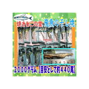 大阪京菓ZR三晃食品　2000グラム【目安として約440尾】 焼きあごの里　飛魚の干し焼き ×1袋【fu】【送料無料（沖縄は別途送料）】