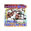 大阪京菓楽天市場店ZRおかし企画　OE石井　250グラム【目安として約212個】 コーラ ＆ サイダー 糖衣 ラムネ ×1袋【ma】【メール便送料無料】