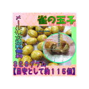大阪京菓楽天市場店ZR今川製菓 320グラム【目安として約115個】 雀の玉子(すずめのたまご) ×1袋【ma】【メール便送料無料】