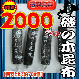 大阪京菓ZRおかし企画　OE石井　2000グラム【目安として約700個】 北海の 磯の木 昆布 ×1袋【送料無料（沖縄は別途送料）】【fu】《期間限定特売セール！！》