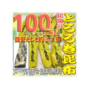 大阪京菓楽天市場店ZRおかし企画 OE石井　100グラム【目安として約37個】 鬼旨　 北海の とろろ巻 昆布 ×1袋【ma】【メール便送料無料】