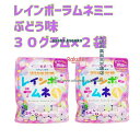 大阪京菓楽天市場店ZRユーハ味覚糖 30グラム イコマ製菓本舗 共同開発 レインボーラムネ ミニ ぶどう味 ×2袋【ma2】【メール便送料無料】