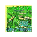 大阪京菓楽天市場店ZRおかし企画 OE石井 1500グラム【目安として約690個】 わさび枝豆 個包装 ×1袋【fu】【送料無料(沖縄は別途送料)】