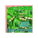 大阪京菓楽天市場店ZRおかし企画 OE石井 4500グラム【目安として約2070個】 わさび枝豆 個包装 ×1袋【fu】【送料無料(沖縄は別途送料)】
