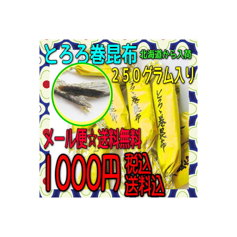 【メール便送料無料】大阪京菓ZR中山食品工業 250gとろろ巻昆布〔927円〕×1袋 +税 《期間限定特売セール!!》