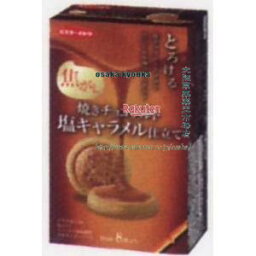 大阪京菓 ZRxイトウ製菓　8枚 焼きチョコタルト塩キャラメル仕立て【チョコ】×72個【xw】【送料無料（沖縄は別途送料）】