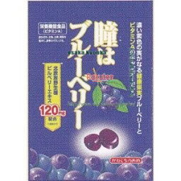 大阪京菓 ZRx川口製菓　83G 瞳はブルーベリー×20個【xeco】【エコ配 送料無料 （沖縄県配送不可 時間指定と夜間お届け不可）】