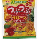 大阪京菓 ZRx金城製菓　24個 つぶつぶフルーツゼリー×9個【xeco】【エコ配 送料無料 （沖縄県配送不可 時間指定と夜間お届け不可）】