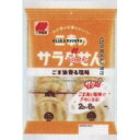 大阪京菓 ZRx三幸製菓　16枚 三幸のサラダせんごま油香る塩味×20個【x】【送料無料（沖縄は別途送料）】