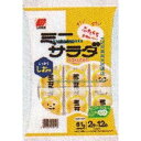 大阪京菓 ZRx三幸製菓　61G ミニサラダしお味×16個【x】【送料無料（沖縄は別途送料）】