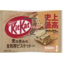 大阪京菓 ZRxネスレ　10枚 キットカットミニ全粒粉ビスケットIN×24個【xeco】【エコ配 送料無料 （沖縄県配送不可 時間指定と夜間お届け不可）】